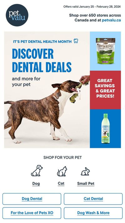 Petvalu catalogue in Georgetown | Discover Dental Deals | 2024-01-25 - 2024-02-28