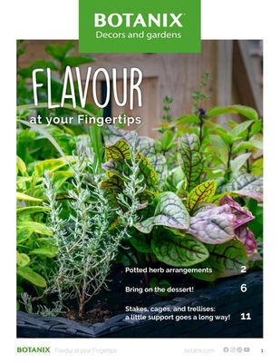 Botanix catalogue | Flavour at your fingertips | 2023-10-18 - 2023-12-31