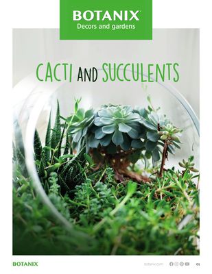 Botanix catalogue | Cacti and succulents | 2023-10-18 - 2023-12-31