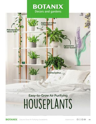 Botanix catalogue | Easy-to-grow houseplants | 2023-10-18 - 2023-12-31