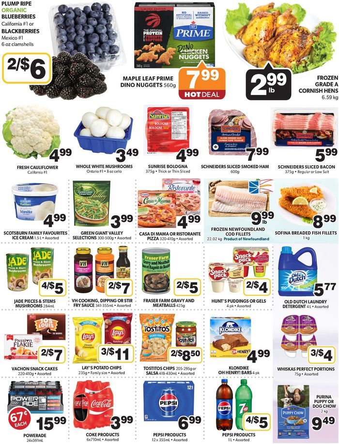 Coleman's catalogue in Botwood | Coleman's Town Square Buchans | 2024-03-28 - 2024-04-03