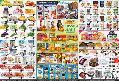 Grocery offers in Vancouver | Spring Blossom Sale in Hmart | 2024-04-12 - 2024-04-26