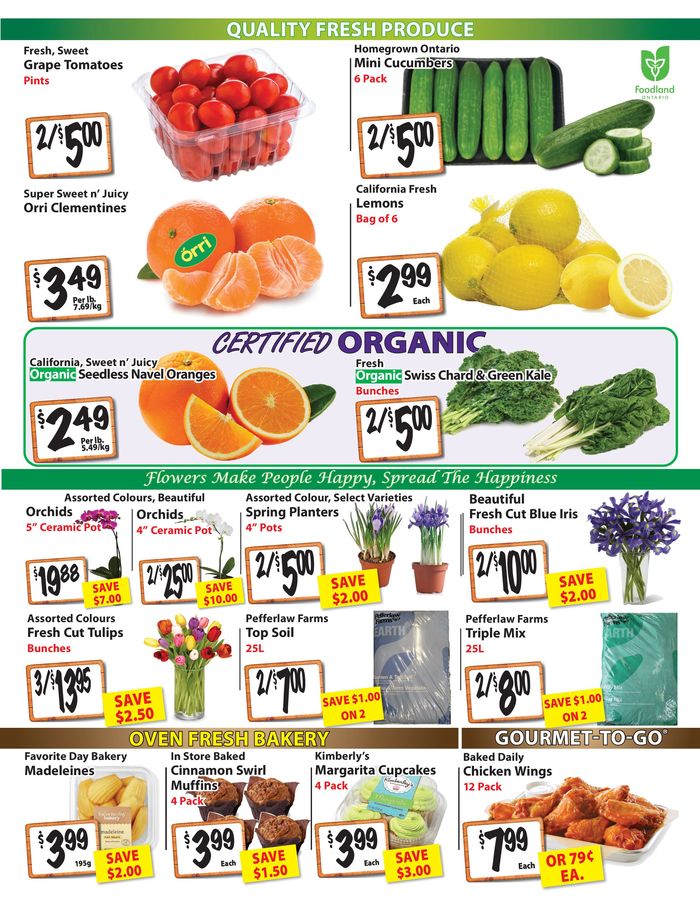 The Garden Basket catalogue in Markham | Prices in effect! | 2024-04-18 - 2024-05-02