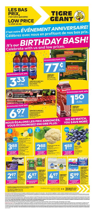 Giant Tiger catalogue in Joliette | Weekly Flyer | 2024-04-24 - 2024-04-30