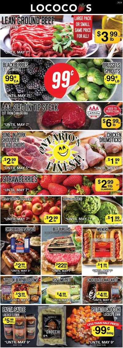 Lococos catalogue in St. Catharines | Large Pack Or Small Same Price For All | 2024-05-03 - 2024-05-07