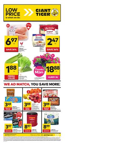 Grocery offers in Borden-Carleton | Weekly Flyer in Giant Tiger | 2024-05-08 - 2024-05-14