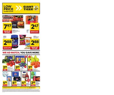 Giant Tiger catalogue in Grande Prairie | Weekly Flyer | 2024-05-15 - 2024-05-21