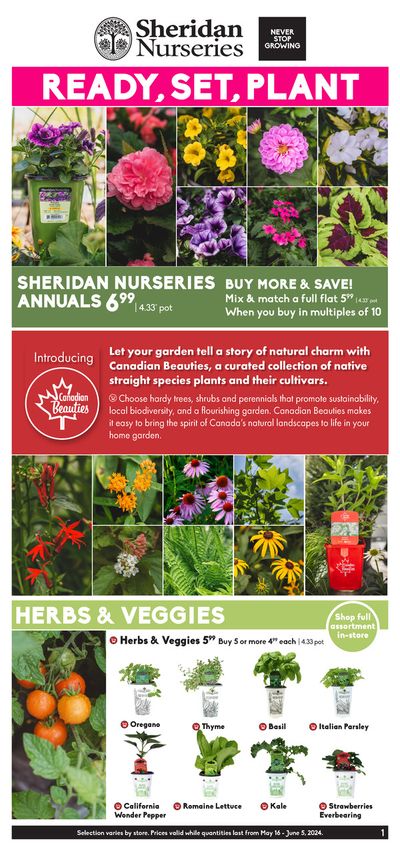Garden & DIY offers in Mississauga | Ready Set Plant in Sheridan Nurseries | 2024-05-17 - 2024-05-31