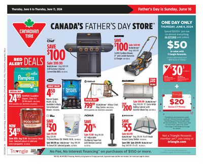 Garden & DIY offers in Enfield | Canadian Tire weekly flyer in Canadian Tire | 2024-06-06 - 2024-06-13