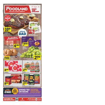 Foodland catalogue in Shedden | ATL Weekly | 2024-06-13 - 2024-06-19