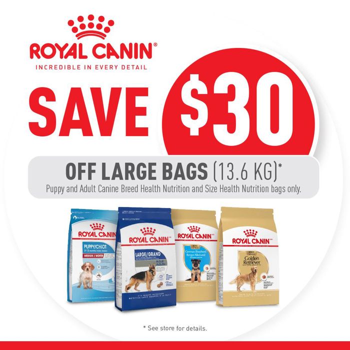 Petland catalogue in Prince Albert | Save $30 Off Large Bags | 2024-09-16 - 2024-09-27