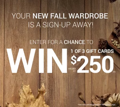 Clothing, Shoes & Accessories offers in Hamilton | Win 1 of 3 Gift Cards Valued at $250 in Suzy Shier | 2024-10-09 - 2024-10-23