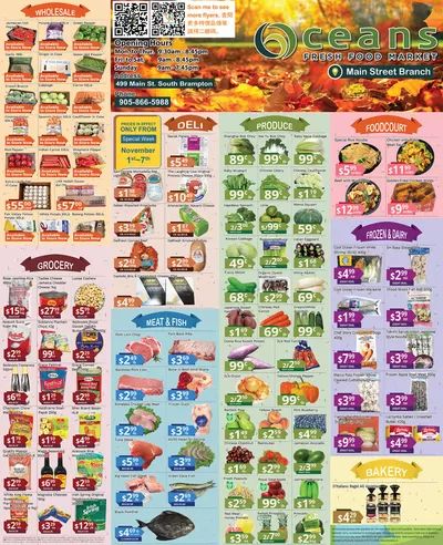 Oceans Fresh Food Market catalogue in Brampton | Discover attractive offers | 2024-11-01 - 2024-11-15