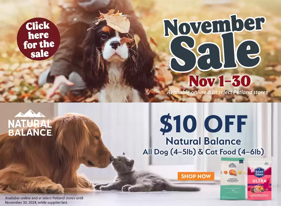 Petland catalogue in Regina | November Sale | 2024-11-04 - 2024-11-30