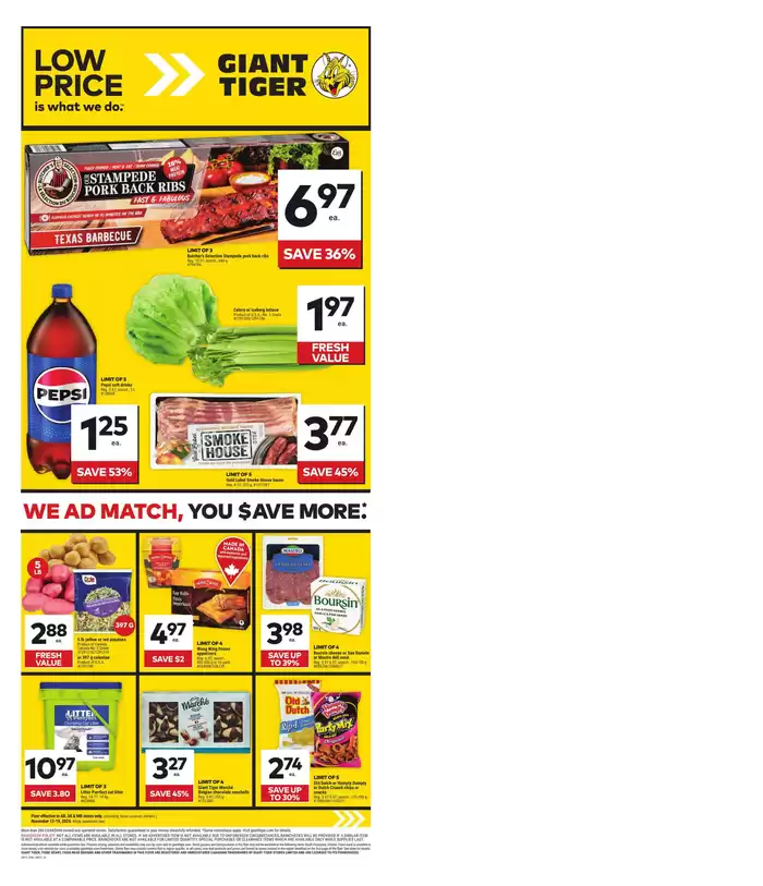 Giant Tiger catalogue in Prince Albert | Our best offers for you | 2024-11-13 - 2024-11-19