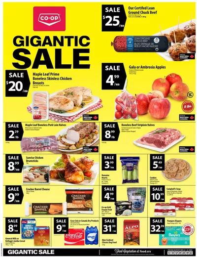 Co-op Food catalogue in QUEEN CHARLOTTE | Gigantic Sale | 2024-11-21 - 2024-11-27