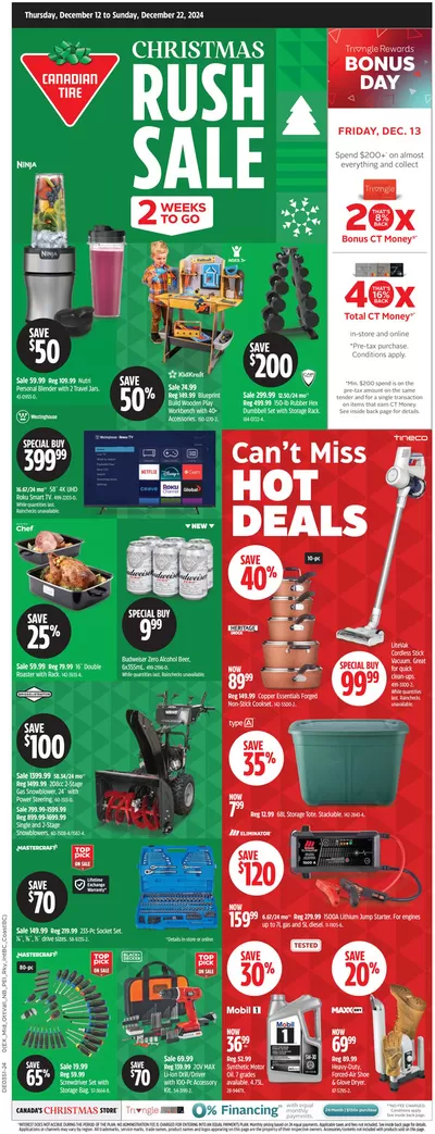 Canadian Tire catalogue in Stouffville | Great offer for all customers | 2024-12-12 - 2024-12-22