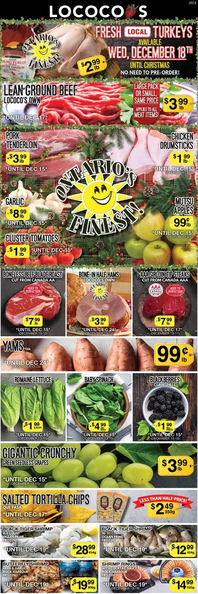 Lococos catalogue in Brantford | Lococos weekly flyer | 2024-12-14 - 2024-12-28