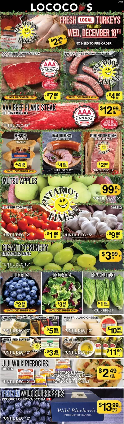 Lococos catalogue in Brantford | Save now with our deals | 2024-12-16 - 2024-12-30