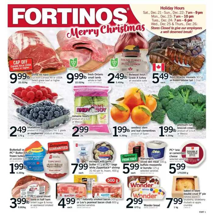 Fortinos catalogue in Mississauga | Fortinos weekly flyer | 2024-12-19 - 2024-12-24