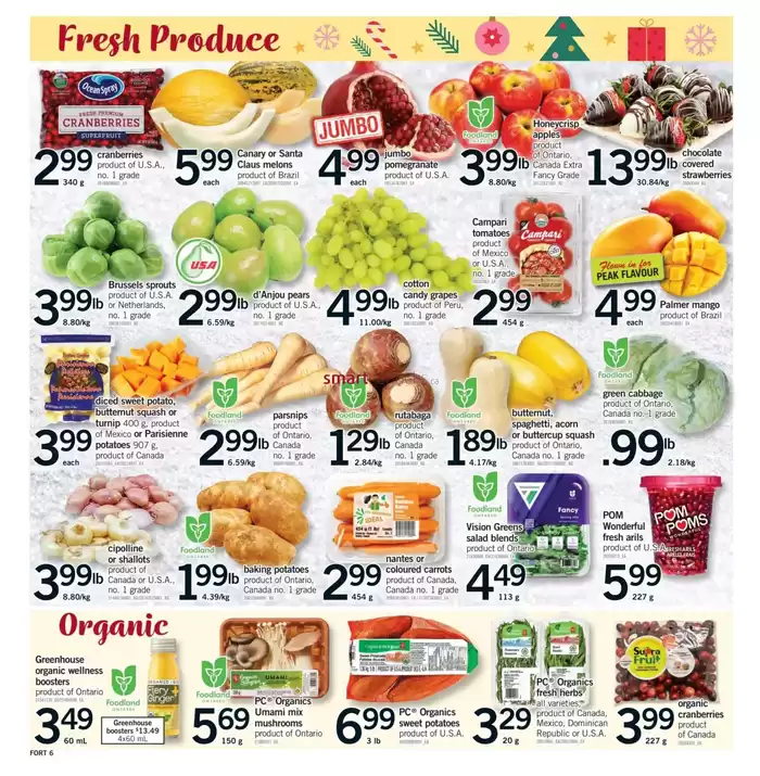 Fortinos catalogue in Mississauga | Fortinos weekly flyer | 2024-12-19 - 2024-12-24