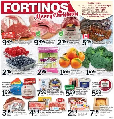 Grocery offers in Georgetown | Fortinos weekly flyer in Fortinos | 2024-12-19 - 2024-12-24