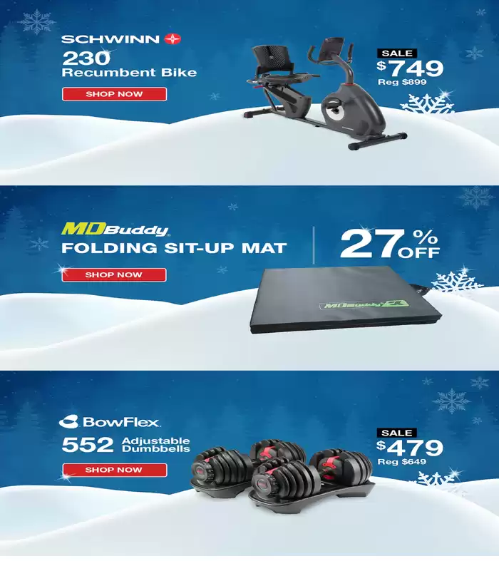 Flaman Fitness catalogue in Vancouver | Fit & Festive Sale | 2024-12-19 - 2025-01-02