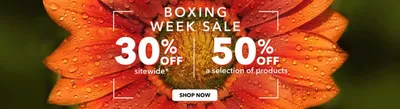 Pharmacy & Beauty offers in Saguenay | Boxing Week Sale in Yves Rocher | 2024-12-26 - 2024-12-31