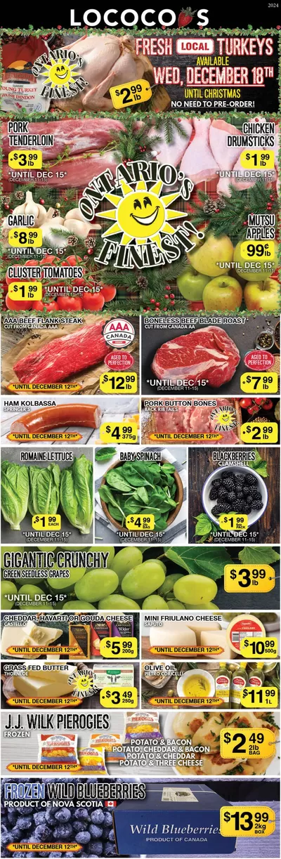 Lococos catalogue in St. Catharines | Exclusive deals and bargains | 2024-12-29 - 2025-01-12