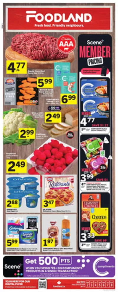 Grocery offers in Toronto | Weekly Flyer in Foodland | 2025-01-02 - 2025-01-08