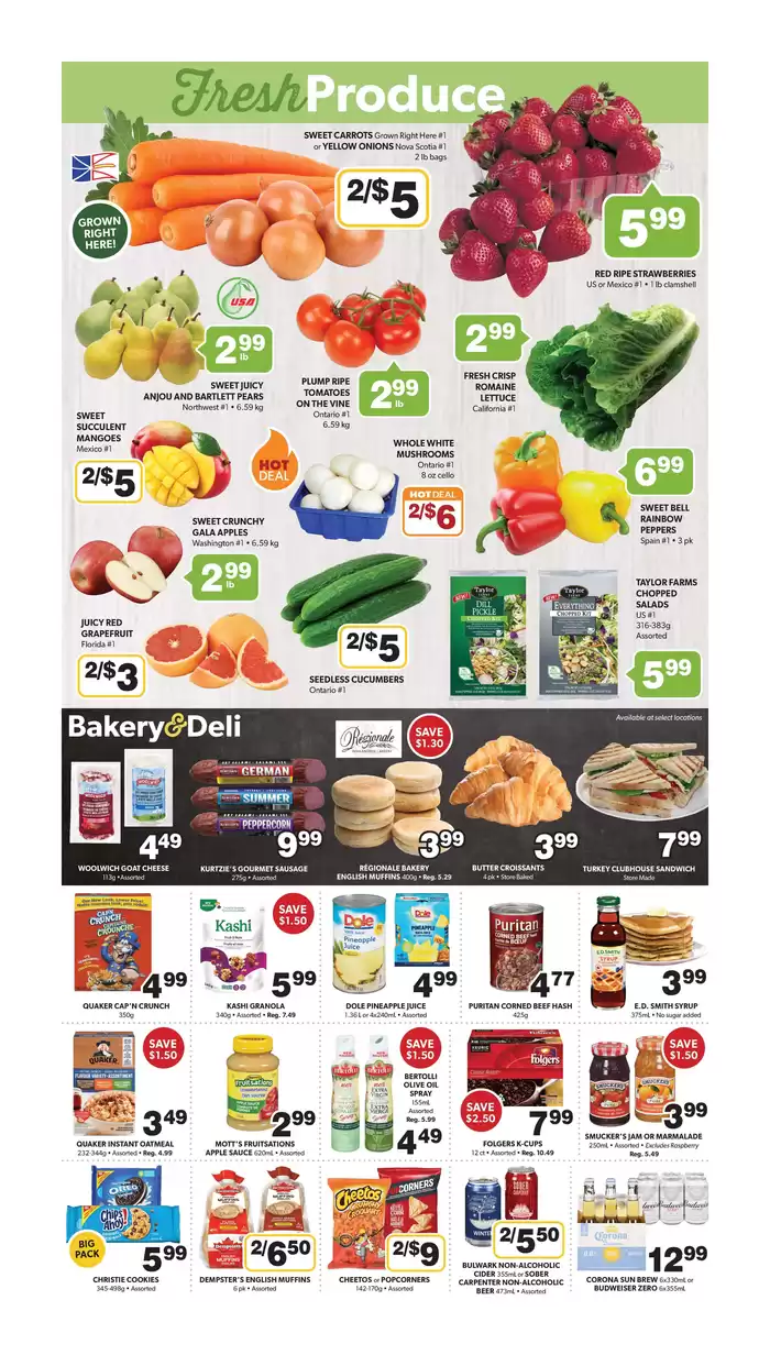 Coleman's catalogue in St. John's | Exclusive bargains | 2025-01-09 - 2025-01-15