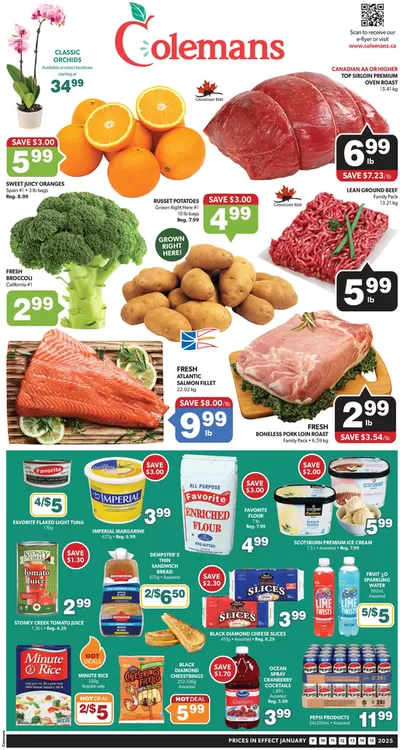 Grocery offers in Channel-Port-aux-Basques | Exclusive bargains in Coleman's | 2025-01-09 - 2025-01-15