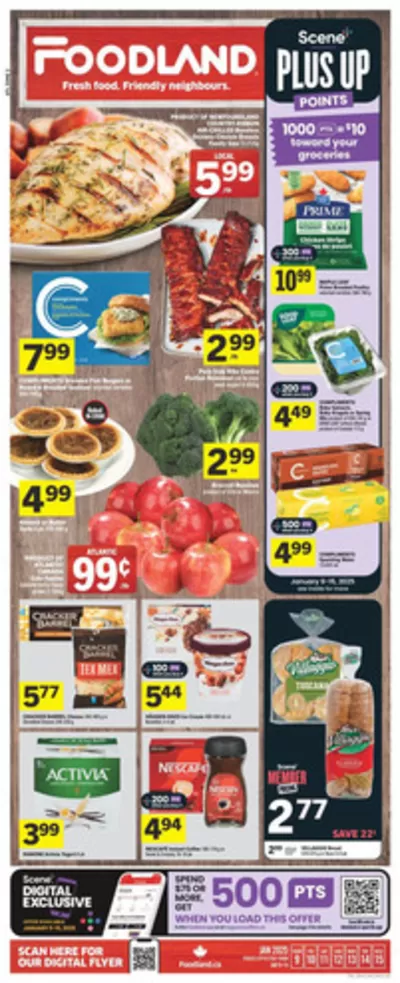 Foodland catalogue in Sydney | ATL Weekly | 2025-01-09 - 2025-01-15