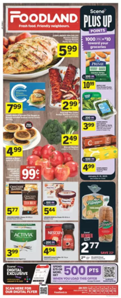 Foodland catalogue in Sydney | Current special promotions | 2025-01-09 - 2025-01-15