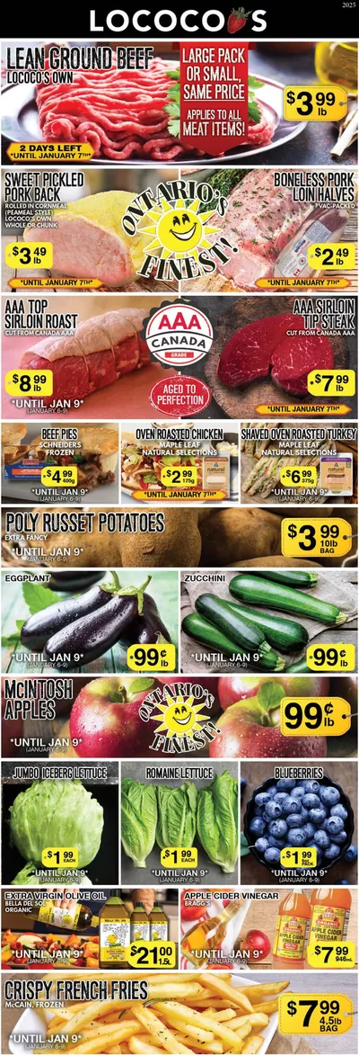 Lococos catalogue in Brantford | Our best deals for you | 2025-01-10 - 2025-01-17