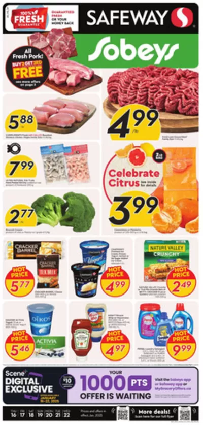 Safeway catalogue | Wide range of offers | 2025-01-16 - 2025-01-22