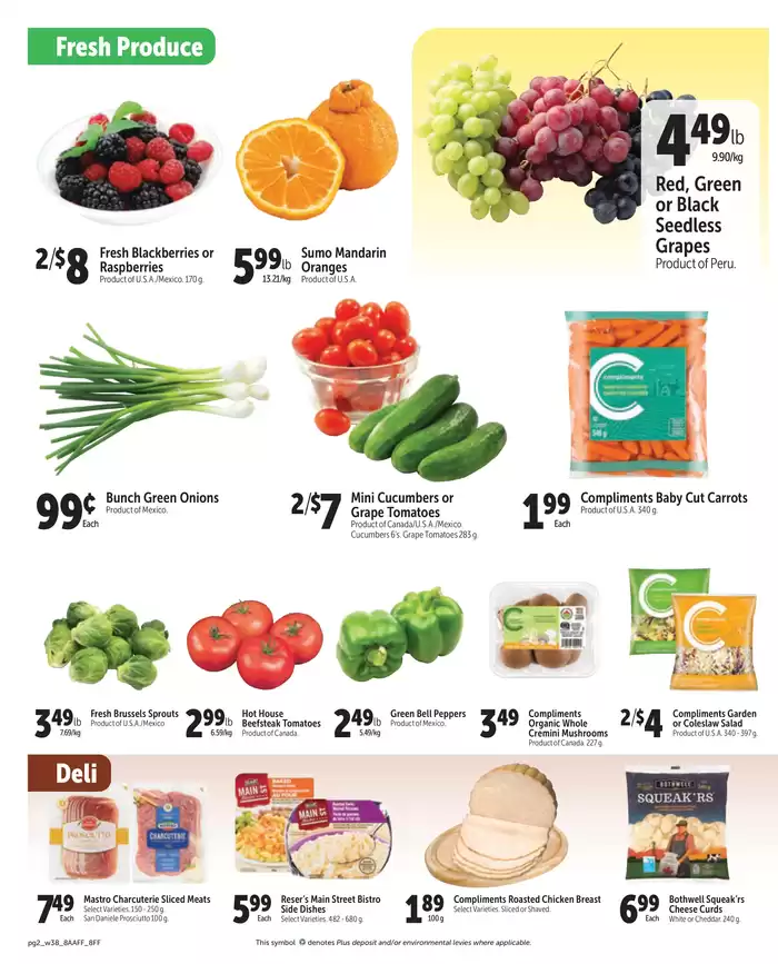 Family Foods catalogue in Leader | Family Foods weekly flyer | 2025-01-16 - 2025-01-23