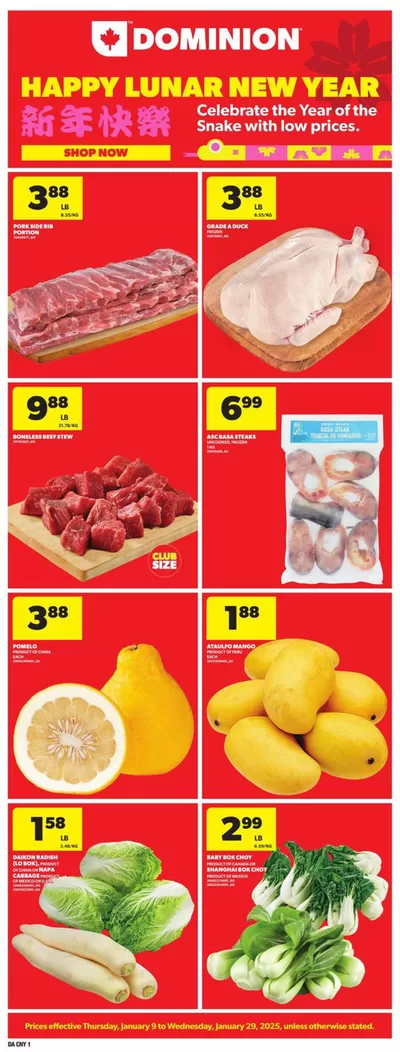 Grocery offers in Gander | General Merchandise in Dominion | 2025-01-09 - 2025-01-29