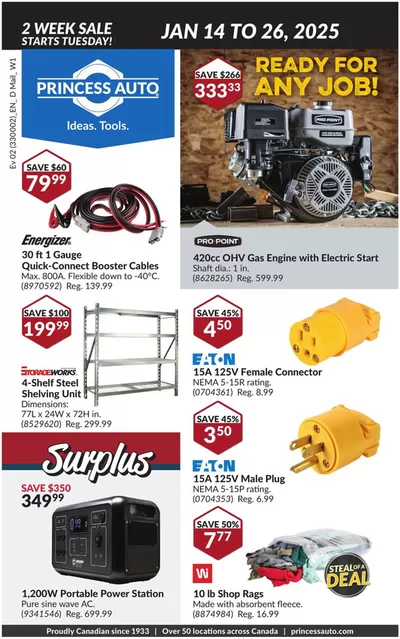 Garden & DIY offers in Walnut Grove | National Sale in Princess Auto | 2025-01-14 - 2025-01-26