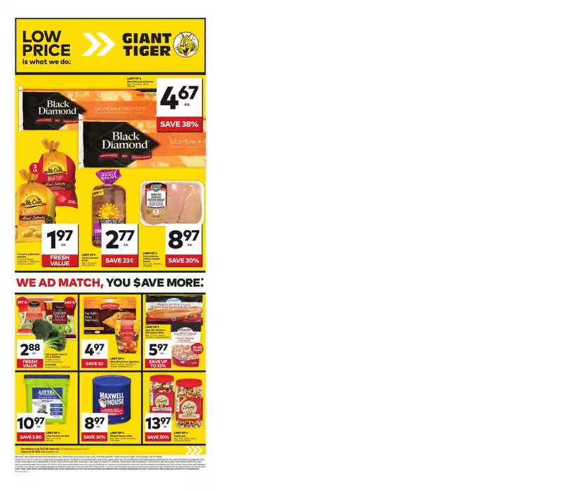 Giant Tiger catalogue in Edmonton | Special offers for you | 2025-01-22 - 2025-01-28