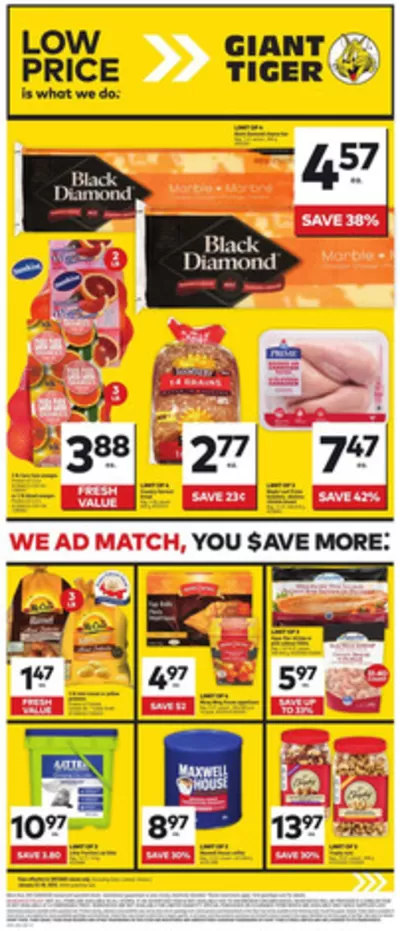 Giant Tiger catalogue in Markham | Attractive special offers for everyone | 2025-01-22 - 2025-01-28