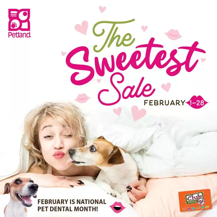 Petland catalogue in Terrace | The Sweetest Sale | 2025-02-03 - 2025-02-28