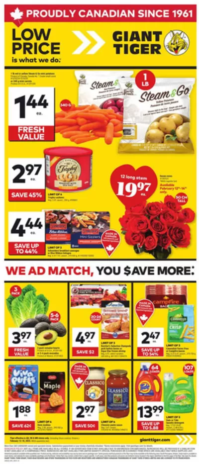 Giant Tiger catalogue in Moose Jaw | Wide range of offers | 2025-02-12 - 2025-02-18