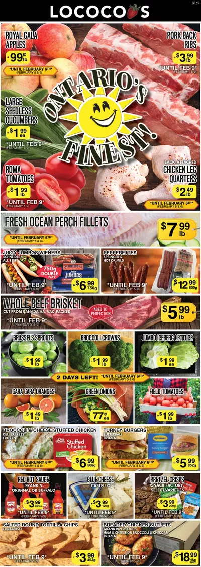 Lococos catalogue in Niagara Falls | Exclusive deals and bargains | 2025-02-11 - 2025-02-25