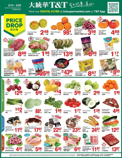 T&T Supermarket catalogue in Coquitlam | Exclusive bargains | 2025-02-14 - 2025-02-20