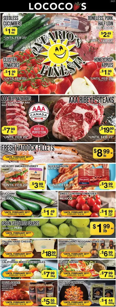 Lococos catalogue in Niagara Falls | Lococos weekly flyer | 2025-02-19 - 2025-03-05