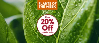 Garden & DIY offers | 20% Off Sale in Sheridan Nurseries | 2025-02-26 - 2025-03-12