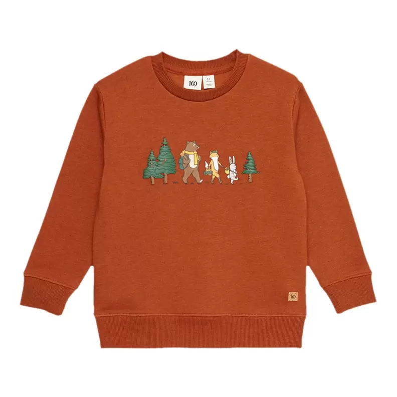 Tentree Kids' Super-Soft Graphic Sweatshirt offers at $33.97 in Sport Chek