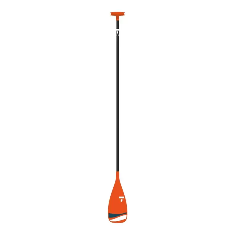 Beach Aluminum 190cm SUP Paddle offers at $40.97 in Sport Chek