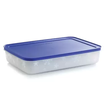 Freezer Mates® PLUS Large Shallow offers at $44 in Tupperware